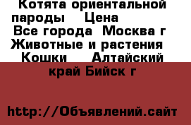 Котята ориентальной пароды  › Цена ­ 12 000 - Все города, Москва г. Животные и растения » Кошки   . Алтайский край,Бийск г.